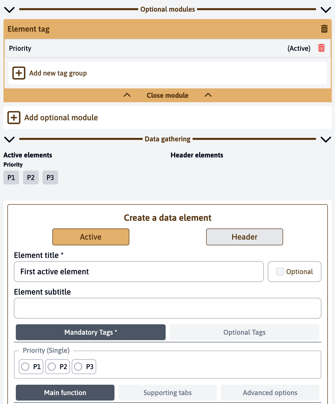 Tag options in elements
